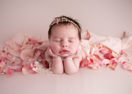 Hallie 2664 copy